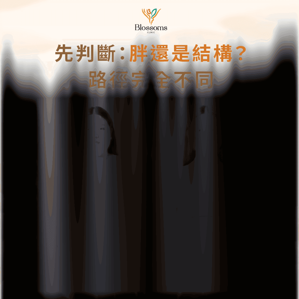 先判斷:胖還是結構?路徑完全不同